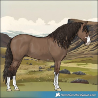 Horse Color:Liver Red Dun