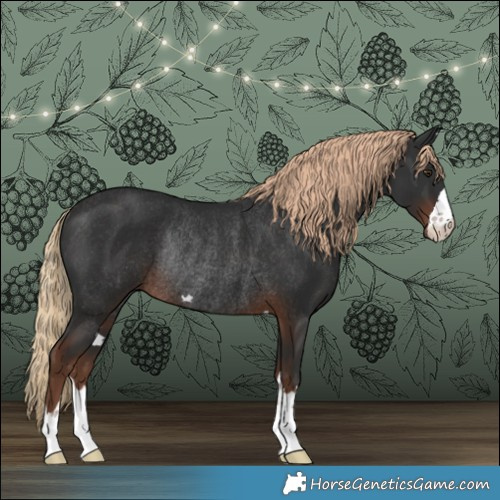 Horse Color:Liver Chestnut Rabicano