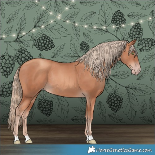 Horse Color:Gold Champagne Rabicano 