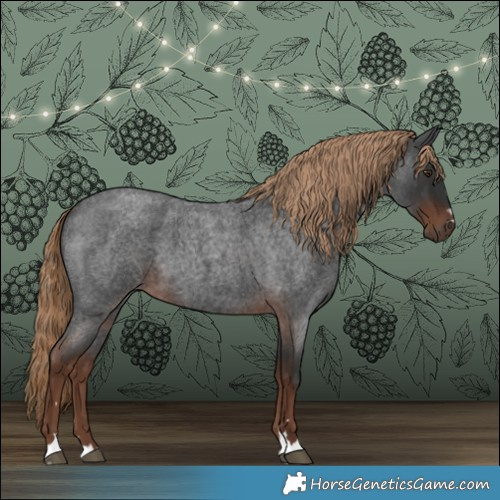 Horse Color:Liver Red Roan