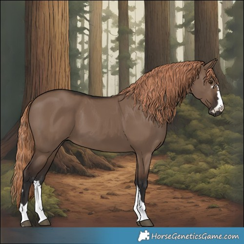 Horse Color:Liver Red Dun 