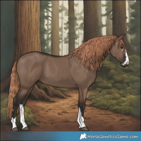 Horse Color:Liver Red Dun 
