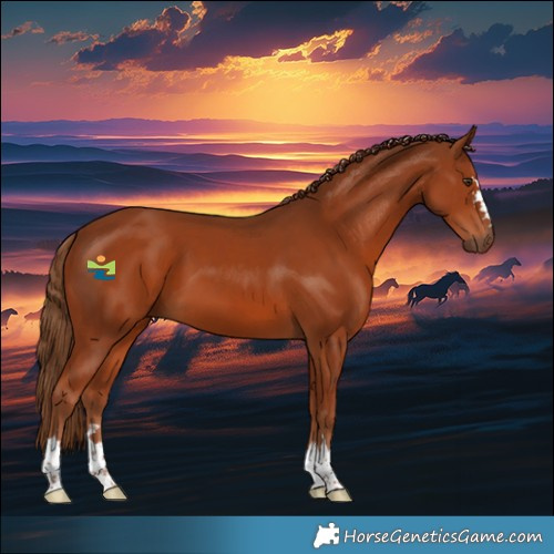 Horse Color:Chestnut 