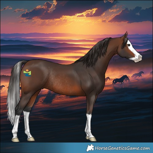Horse Color:Brown Splash Rabicano 