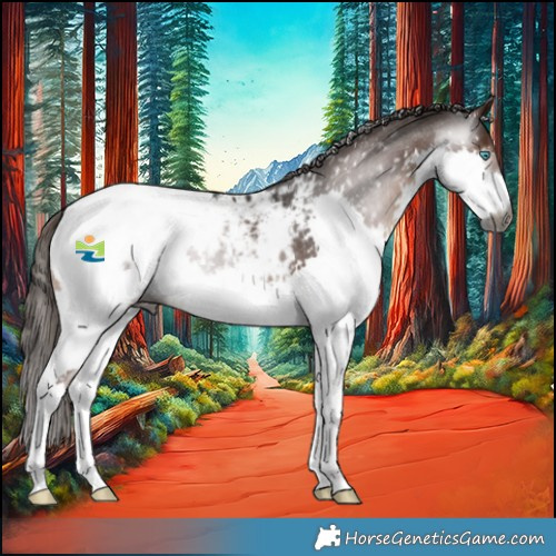 Horse Color:Gray Liver Chestnut Sabino Splash Snowcap 