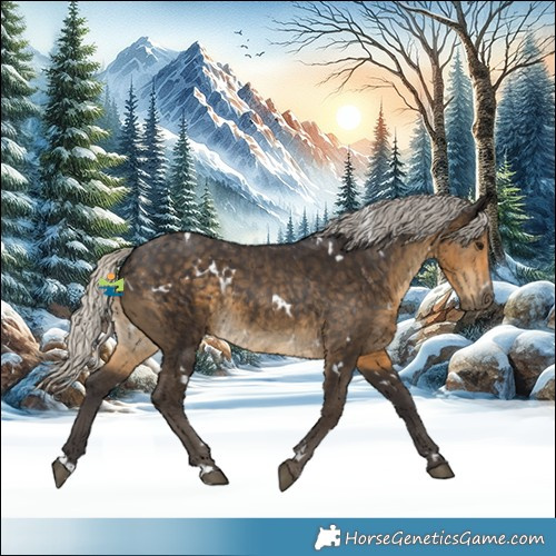Horse Color:White Spotted Silver Smoky Black Rabicano 