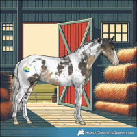 Horse Color:White Spotted Silver Smoky Black Tobiano Varnish