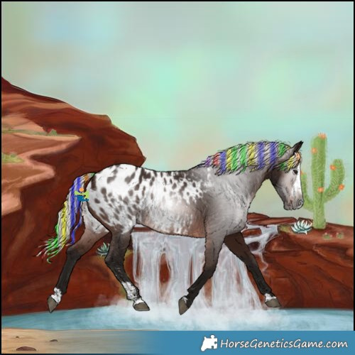 Horse Color:Gray Painted Silver Brown Sabino Splash Blanket 