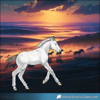 Horse Color:Amber Champagne Splash Leopard 