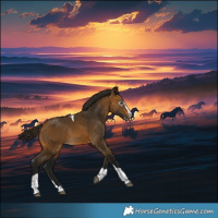 Horse Color:Gray Buckskin Splash Tobiano 