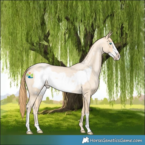 Horse Color:Buckskin Roan Pearl Frame 