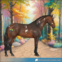 Horse Color:White Spotted Bay