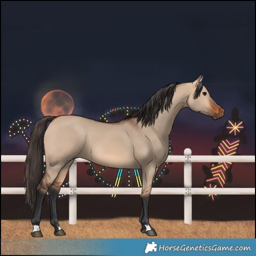 Horse Color:Bay Dun