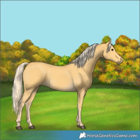 Horse Color:Palomino