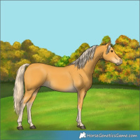 Horse Color:Palomino