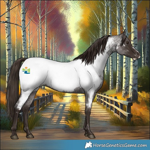 Horse Color:Liver Red Roan Frame Appaloosa