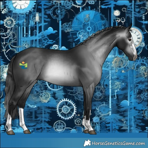 Horse Color:Gray Black 