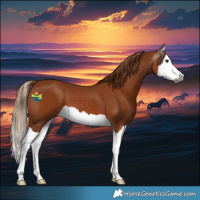 Horse Color:Gray Chestnut Splash 