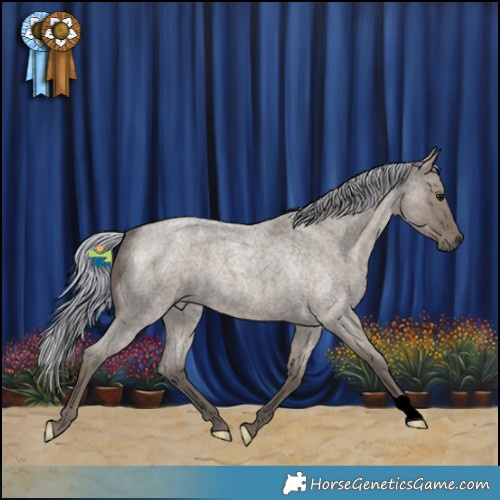 Horse Color:Painted Silver Grullo Roan