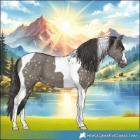 Horse Color:Grullo Tobiano Snowflake Varnish