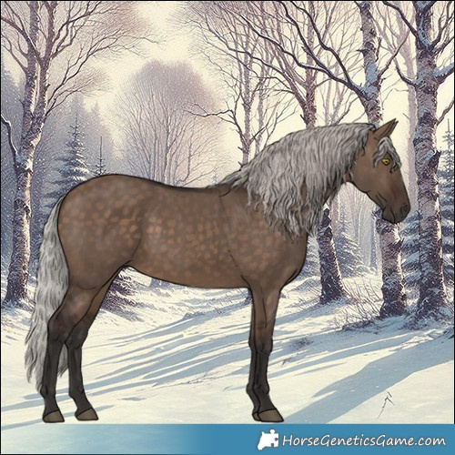 Horse Color:Silver Brown Dun