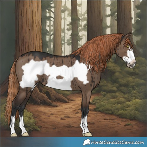 Horse Color:Liver Red Dun Frame Rabicano Brindle