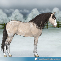 Horse Color:Bay Ice Dun