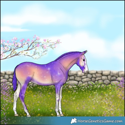Horse Color:Watercolor Blue Onyx 