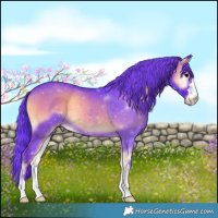 Horse Color:Watercolor Blue Onyx