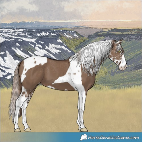 Horse Color:Liver Red Dun Tobiano Skewed LP Spotted 