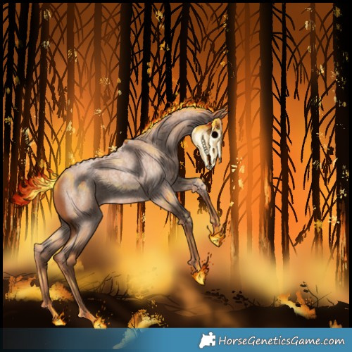 Horse Color:Red Roan 