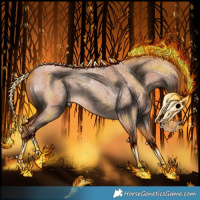 Horse Color:Red Roan