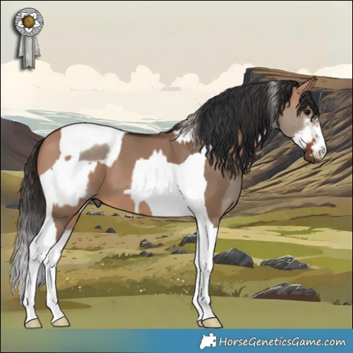 Horse Color:Silver Grullo Splash Tobiano Frame and Bay Dun Tobiano