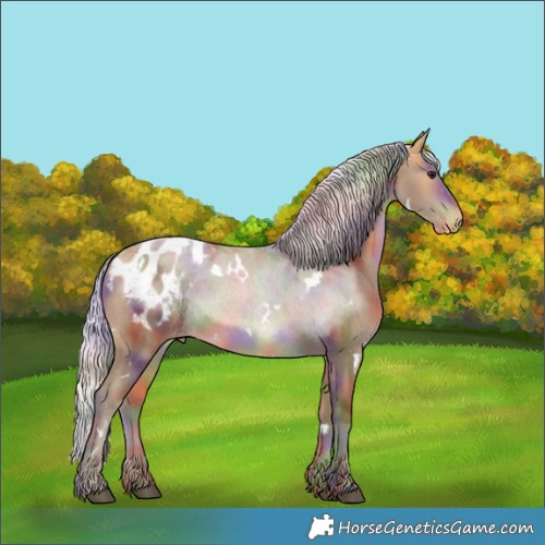 Horse Color:Nacre White Spotted Silver Buckskin Appaloosa