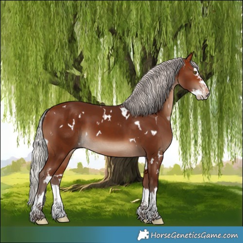 Horse Color:White Spotted Silver Brown Splash 