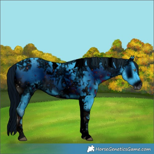 Horse Color:ERROR: UNKNOWN ANOMALY