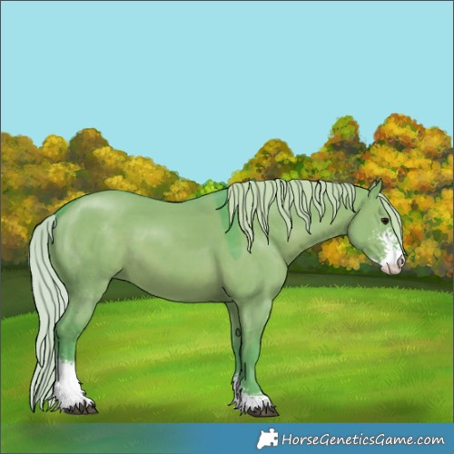 Horse Color:Watercolor Silver Grullo Sabino 