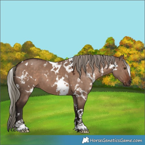 Horse Color:White Spotted Liver Red Dun Mushroom 