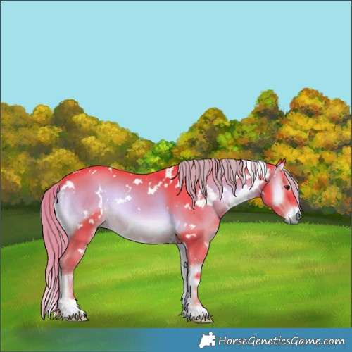 Horse Color:Watercolor White Spotted Liver Red Onyx 