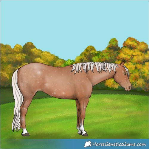 Horse Color:Silver Brown Pearl Tobiano 