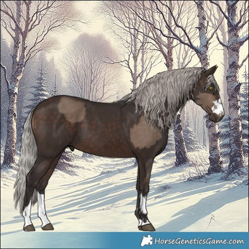 Horse Color:Silver Brown Dun and Silver Brown