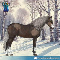 Horse Color:Silver Brown Dun and Silver Brown