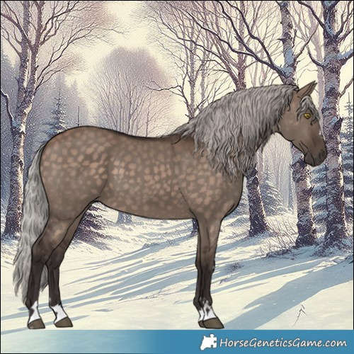 Horse Color:Silver Brown Dun 