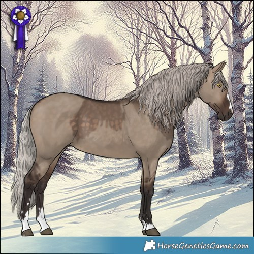 Horse Color:Silver Brown Dun and Silver Brown Dun