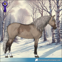 Horse Color:Silver Brown Dun  and Silver Brown Dun 