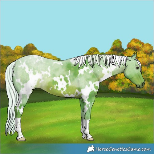 Horse Color:Watercolor White Spotted Silver Black