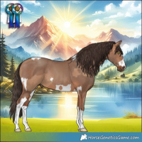 Horse Color:Red Dun Tobiano  and Amber Champagne 