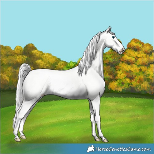 Horse Color:Silver Smoky Creme Dun 