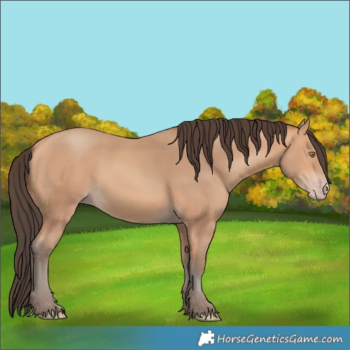 Horse Color:Amber Champagne 
