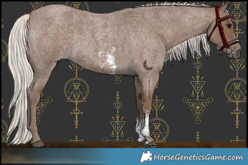 Horse Color:Silver Blue Roan Sabino 